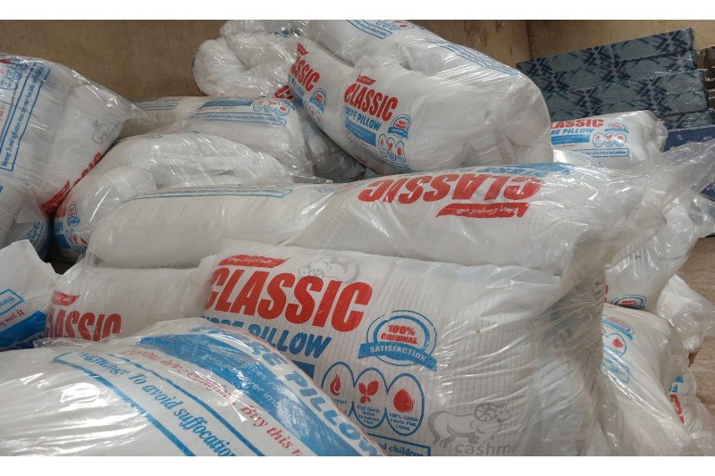 REXFOAM Industries Pillow 2