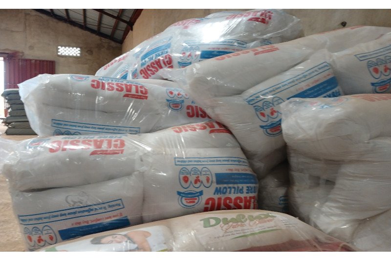 REXFOAM Industries Pillow 6